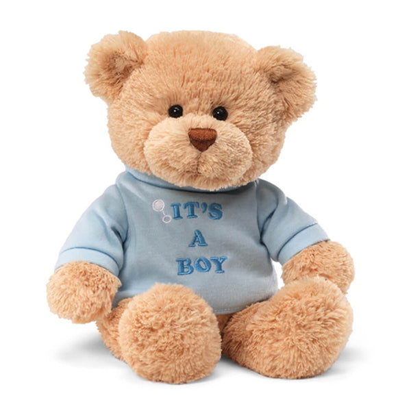 It's A Boy Teddy Bear